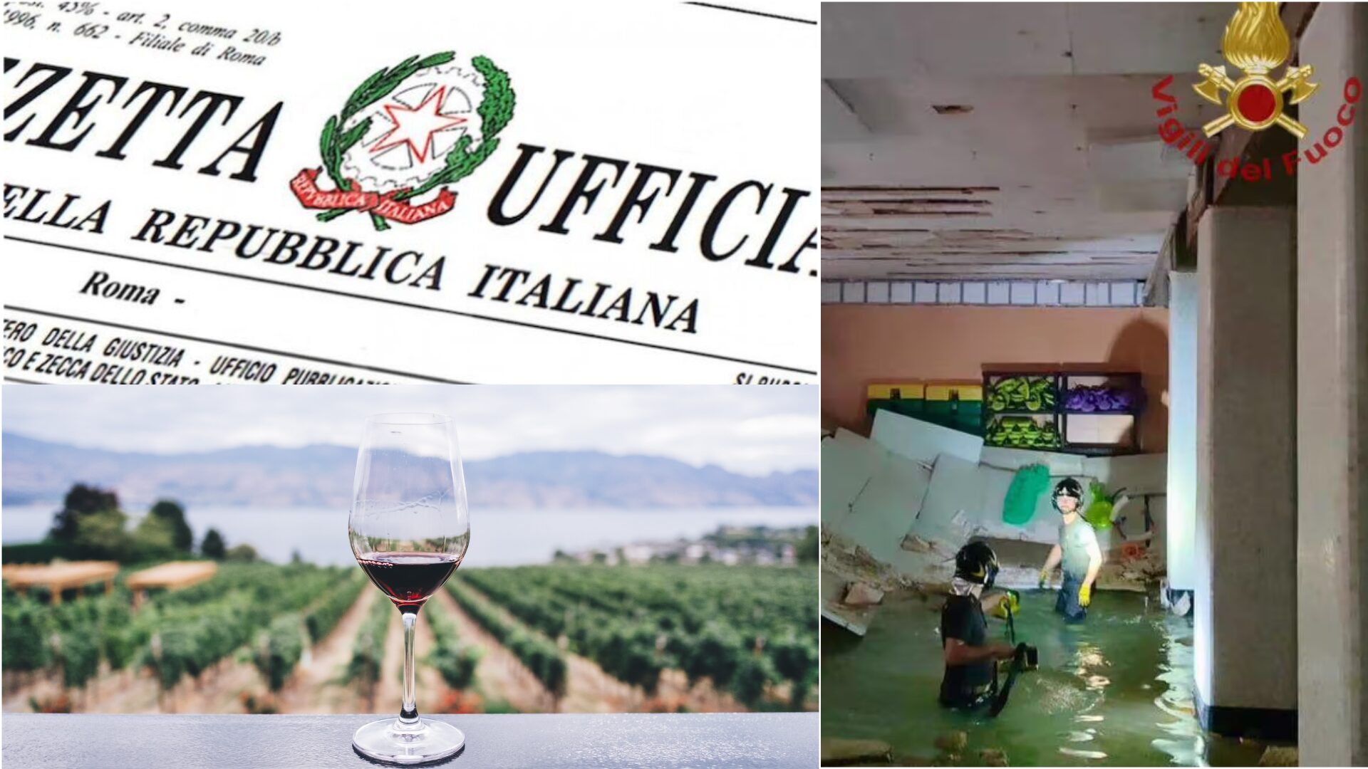 Sicurezza, Piano Casa ed Enoturismo: esploriamo le ultime novità