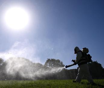 Dengue, coppia contagiata in Umbria: "Avevano fatto un viaggio all’estero"